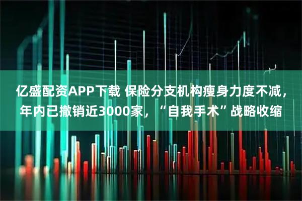 亿盛配资APP下载 保险分支机构瘦身力度不减,年内已撤销近3000家,“自我手术”战略收缩