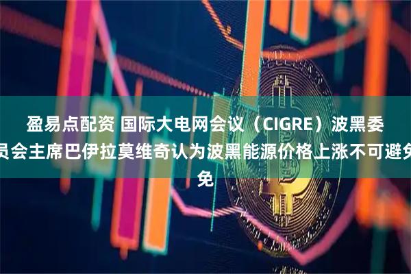 盈易点配资 国际大电网会议（CIGRE）波黑委员会主席巴伊拉莫维奇认为波黑能源价格上涨不可避免